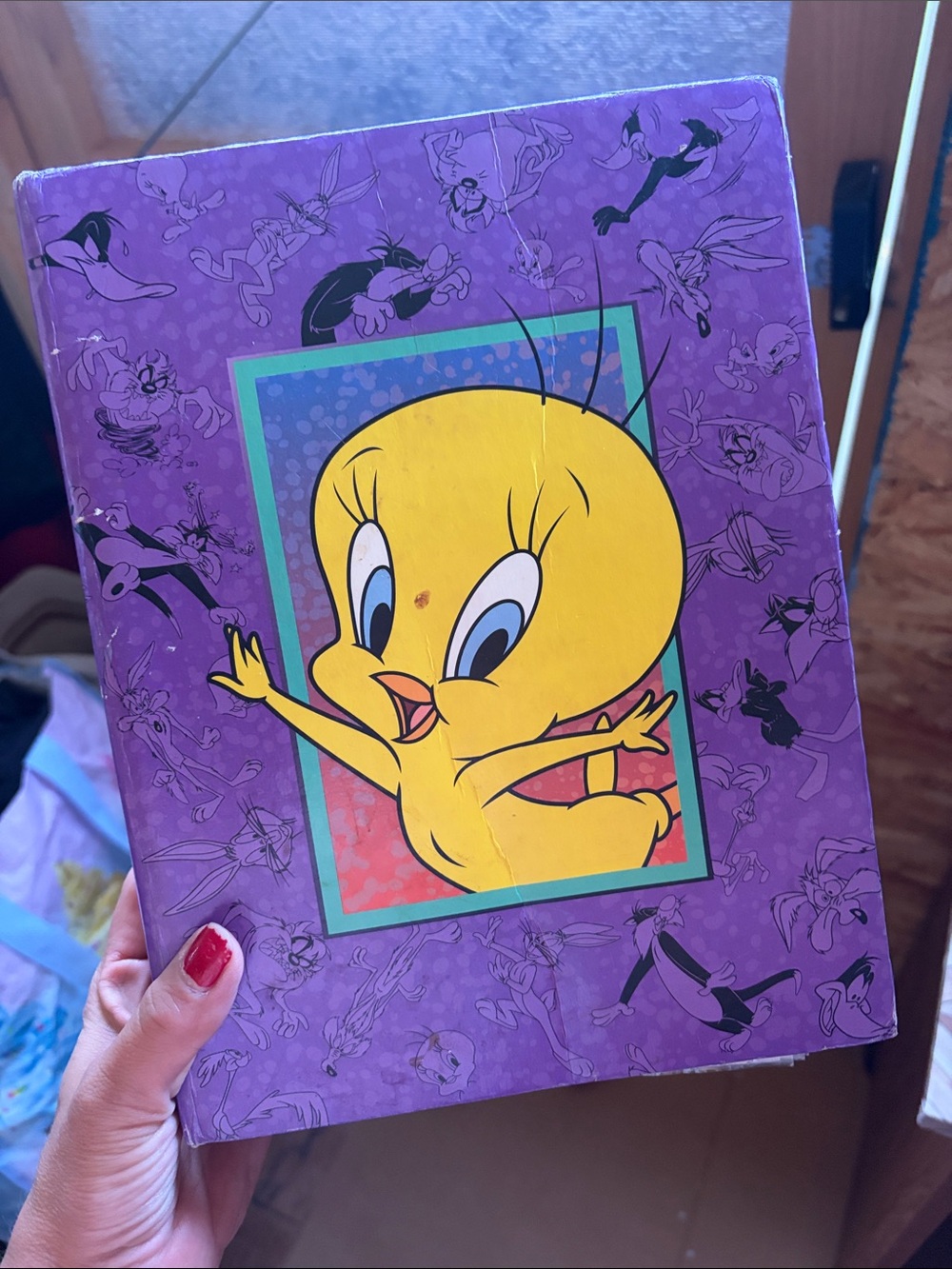 Vintage Looney Tunes Sylvester And Tweety Bird Holson Photo Album GUC 1998